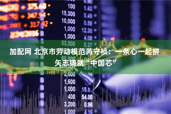加配网 北京市劳动模范芮守祯：一条心一起拼 矢志铸就“中国芯”