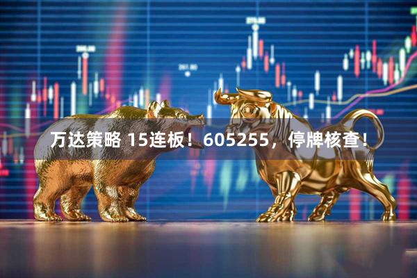 万达策略 15连板！605255，停牌核查！