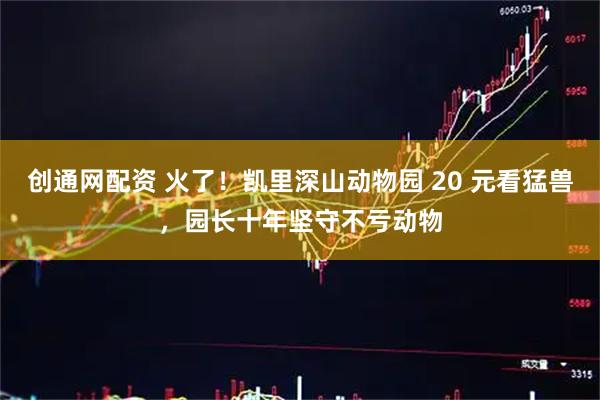 创通网配资 火了！凯里深山动物园 20 元看猛兽，园长十年坚守不亏动物