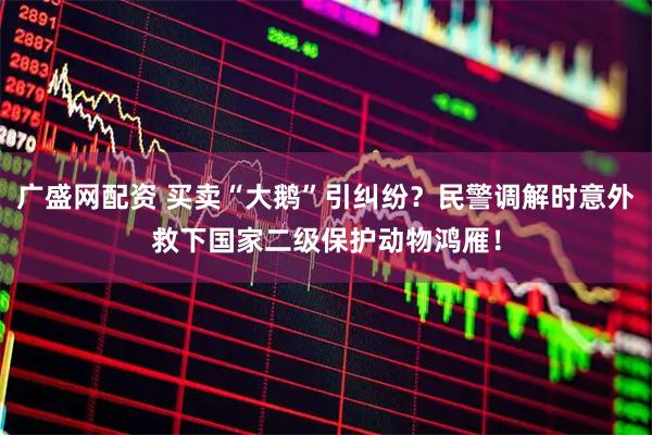 广盛网配资 买卖“大鹅”引纠纷？民警调解时意外救下国家二级保护动物鸿雁！