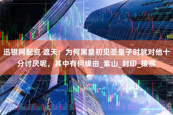 迅银网配资 遮天：为何黑皇初见圣皇子时就对他十分讨厌呢，其中有何缘由_紫山_封印_猿猴