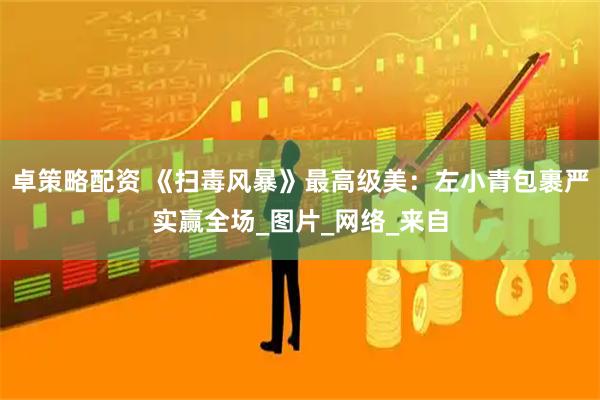 卓策略配资 《扫毒风暴》最高级美：左小青包裹严实赢全场_图片_网络_来自